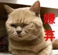 图片加载失败
